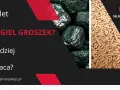 Pellet czy węgiel groszek? Sprawdź, co bardziej się opłaca, analizując cenę pelletu 2026.