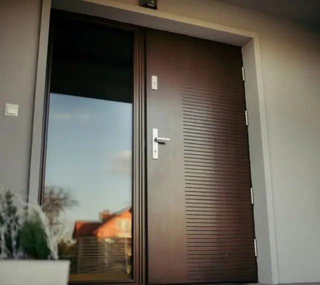 Nowoczesne drzwi wejściowe z przeszkleniem i ozdobnymi płytkami. W donicy obok roślina.