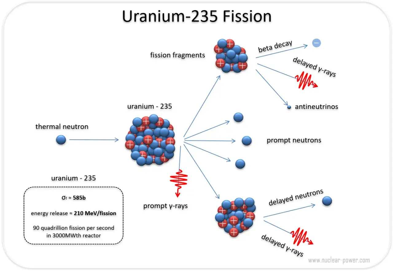 Rozszczepienie uranu-235: neutron termiczny uderza w jądro, powodując jego rozpad na fragmenty, neutrony, promieniowanie gamma i antineutrina.